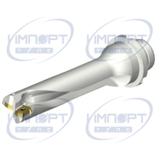 DS20-D2223DM25-04