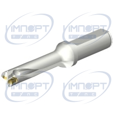 DS20-D1550L20-04