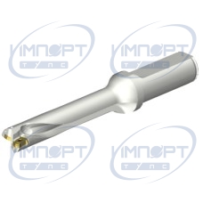 DS20-D1550L20-05