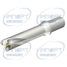 DS20-D4000L40-04