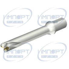 DS20-D4200L50-06