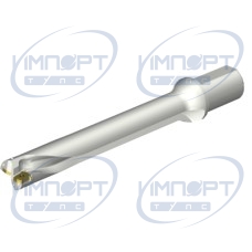 DS20-D4200L50-07