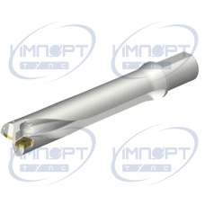 DS20-D5500L50-05