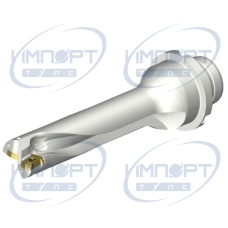 DS20-D2000DM25-04
