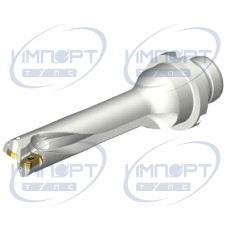 DS20-D1600DM20-04