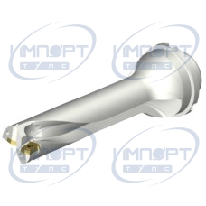 DS20-D3300DM40-04