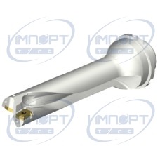 DS20-D3500DM40-04