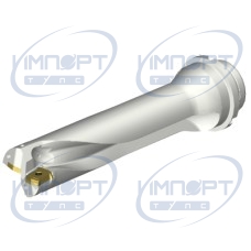 DS20-D4500DM50-04