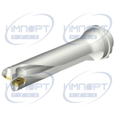 DS20-D4285DM40-04